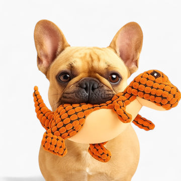 Snugbit Frenchie Plush Toy – Interactive Soft Chew Toy