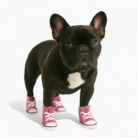 Snuggo-French-Bulldog-booties.jpg