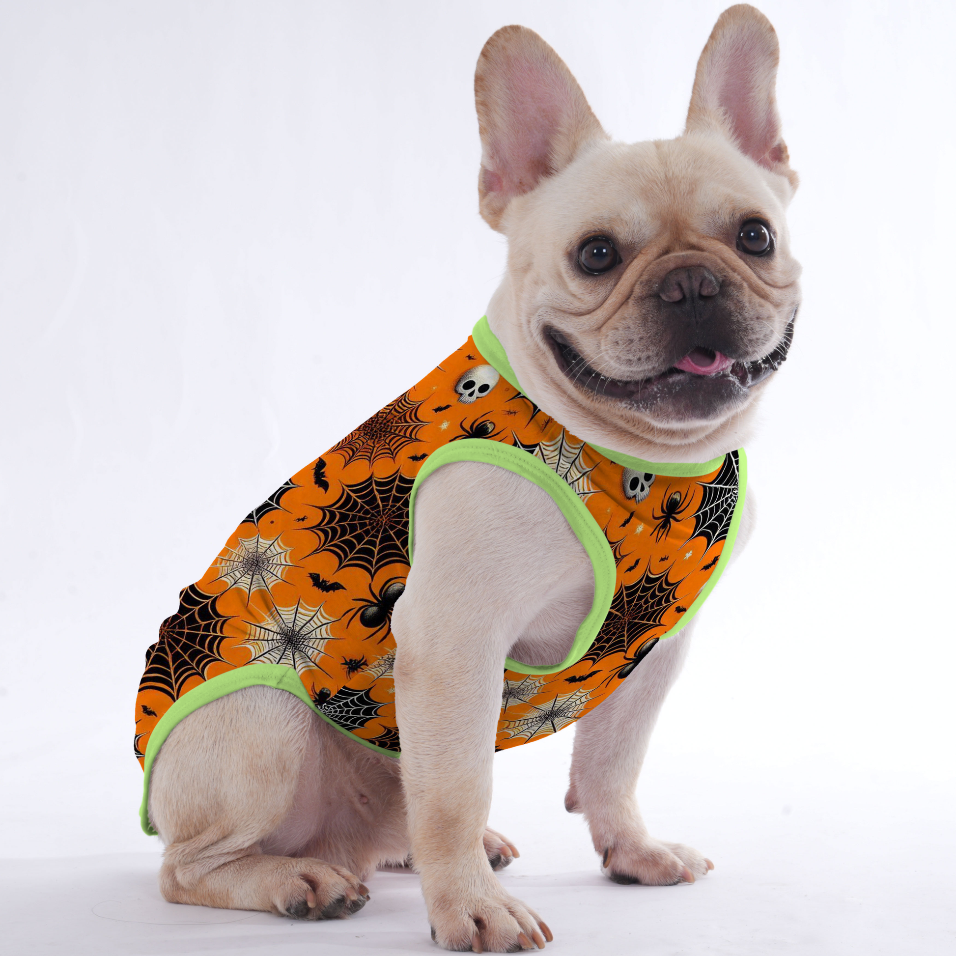 Spider – Shirt for Frenchies