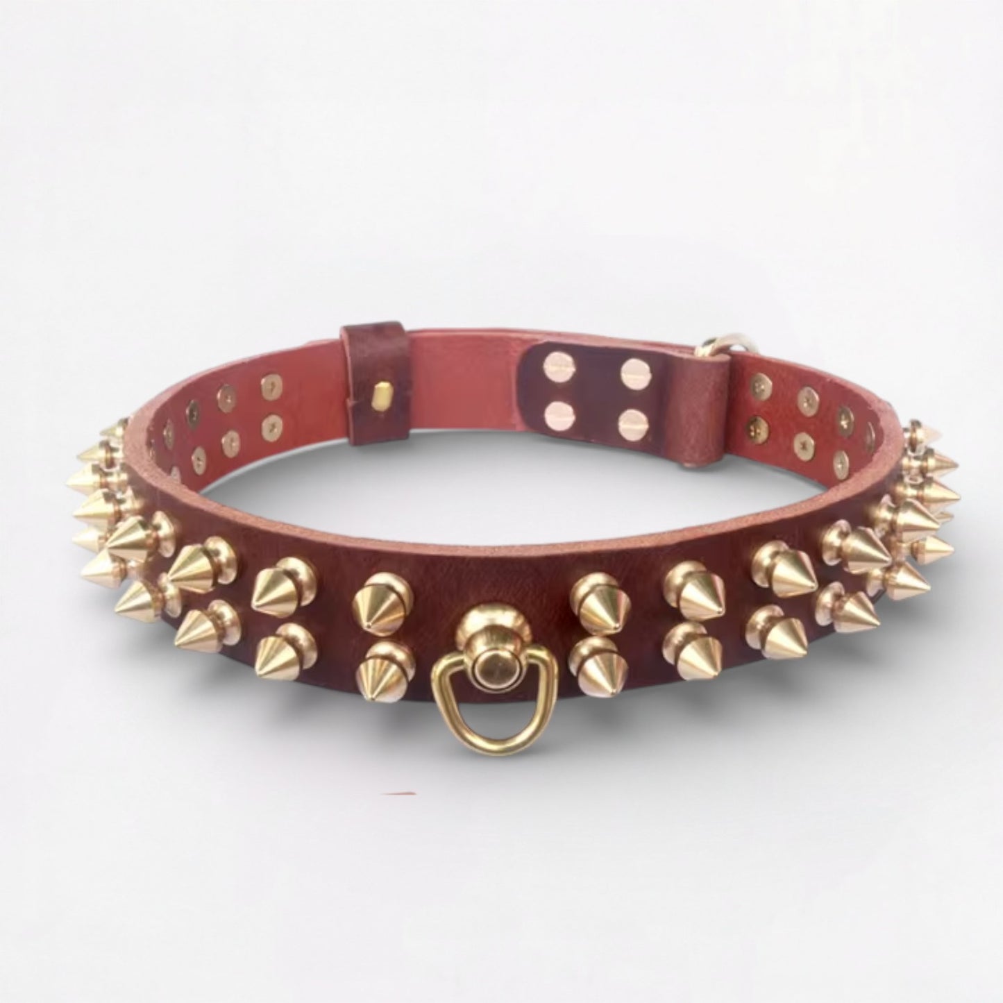 SpikeForge-French-Bulldog-Riveted-Collar.jpg