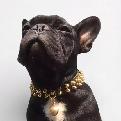 SpikeForge-French-Bulldog-Riveted-Collar.jpg