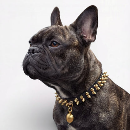 SpikeForge-French-Bulldog-Riveted-Collar.jpg
