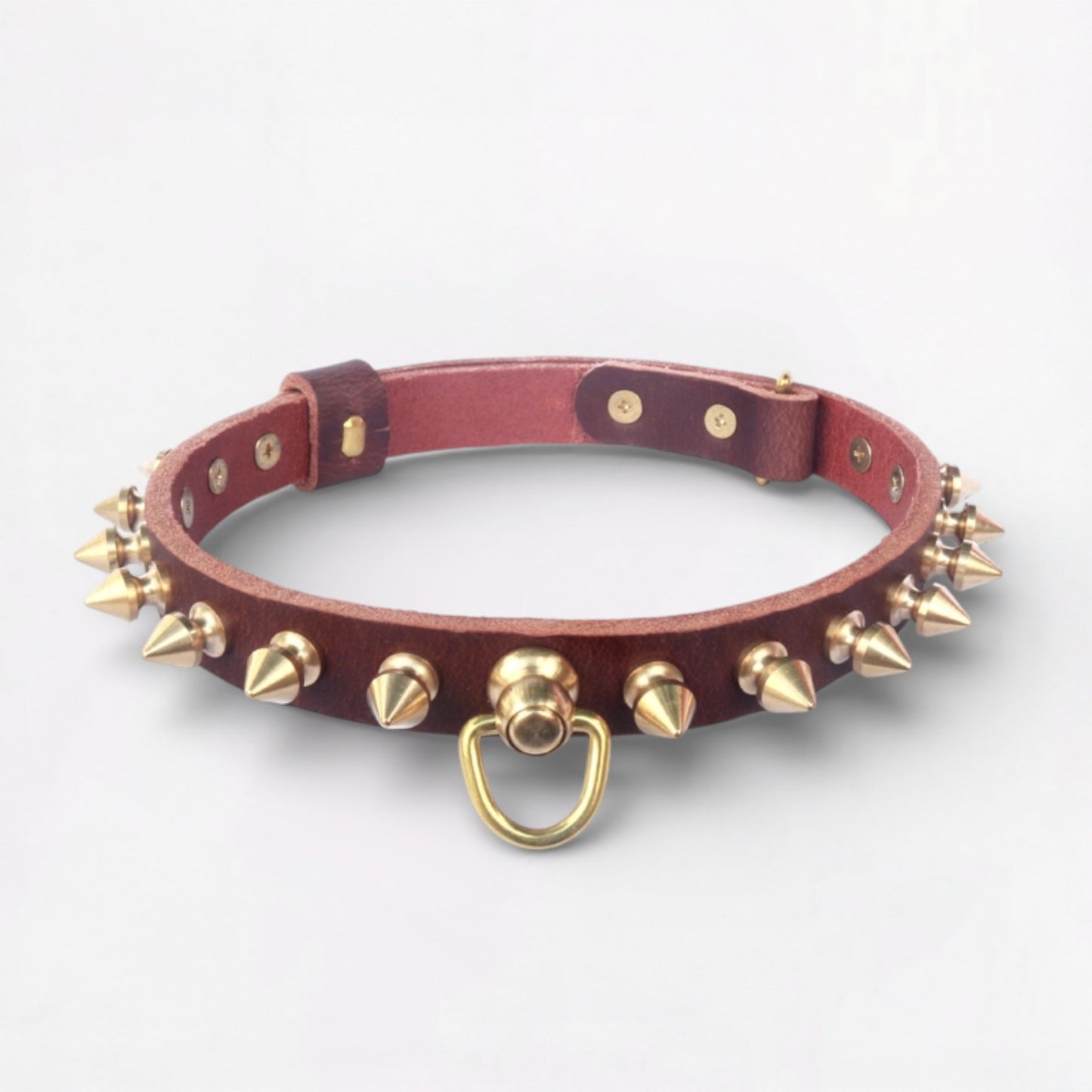 SpikeForge-French-Bulldog-Riveted-Collar.jpg