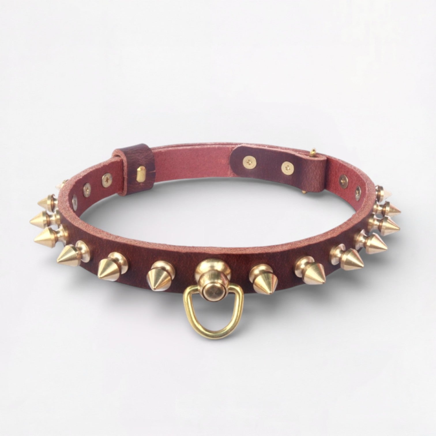 SpikeForge-French-Bulldog-Riveted-Collar.jpg