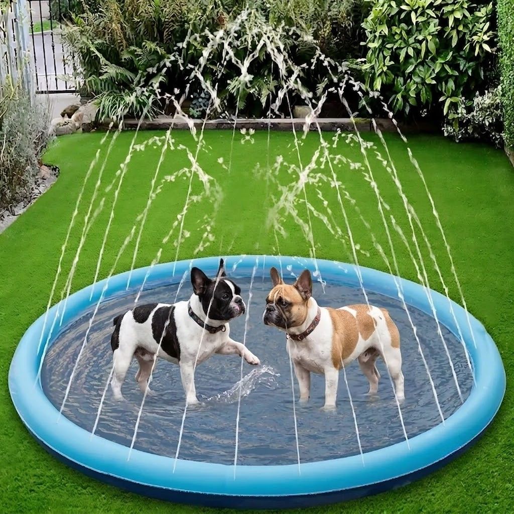 SplashPaw-Frenchie-Inflatable-Pool.jpg