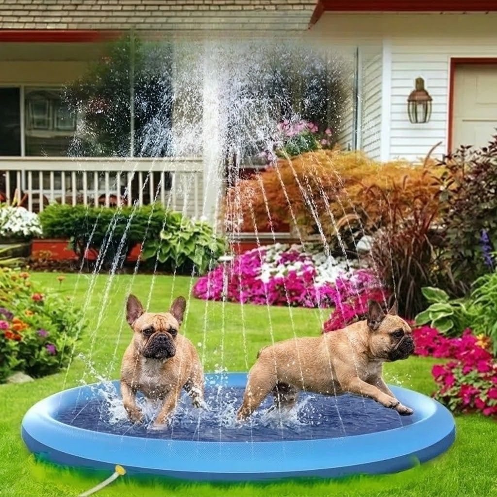 SplashPaw-Frenchie-Inflatable-Pool.jpg