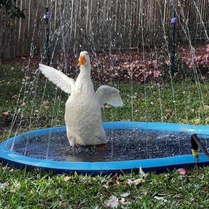 SplashPaw-Frenchie-Inflatable-Pool.jpg
