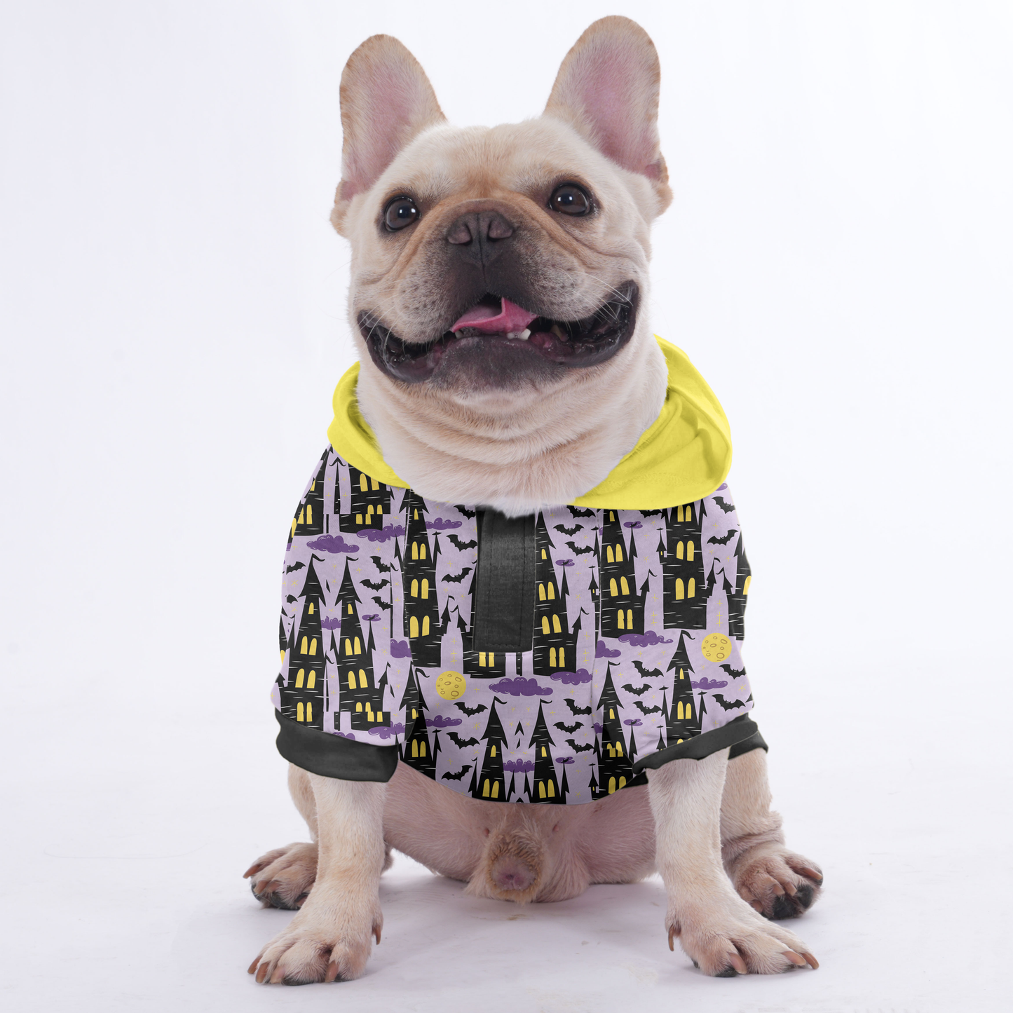 Spring French Bulldogs Hoodies 