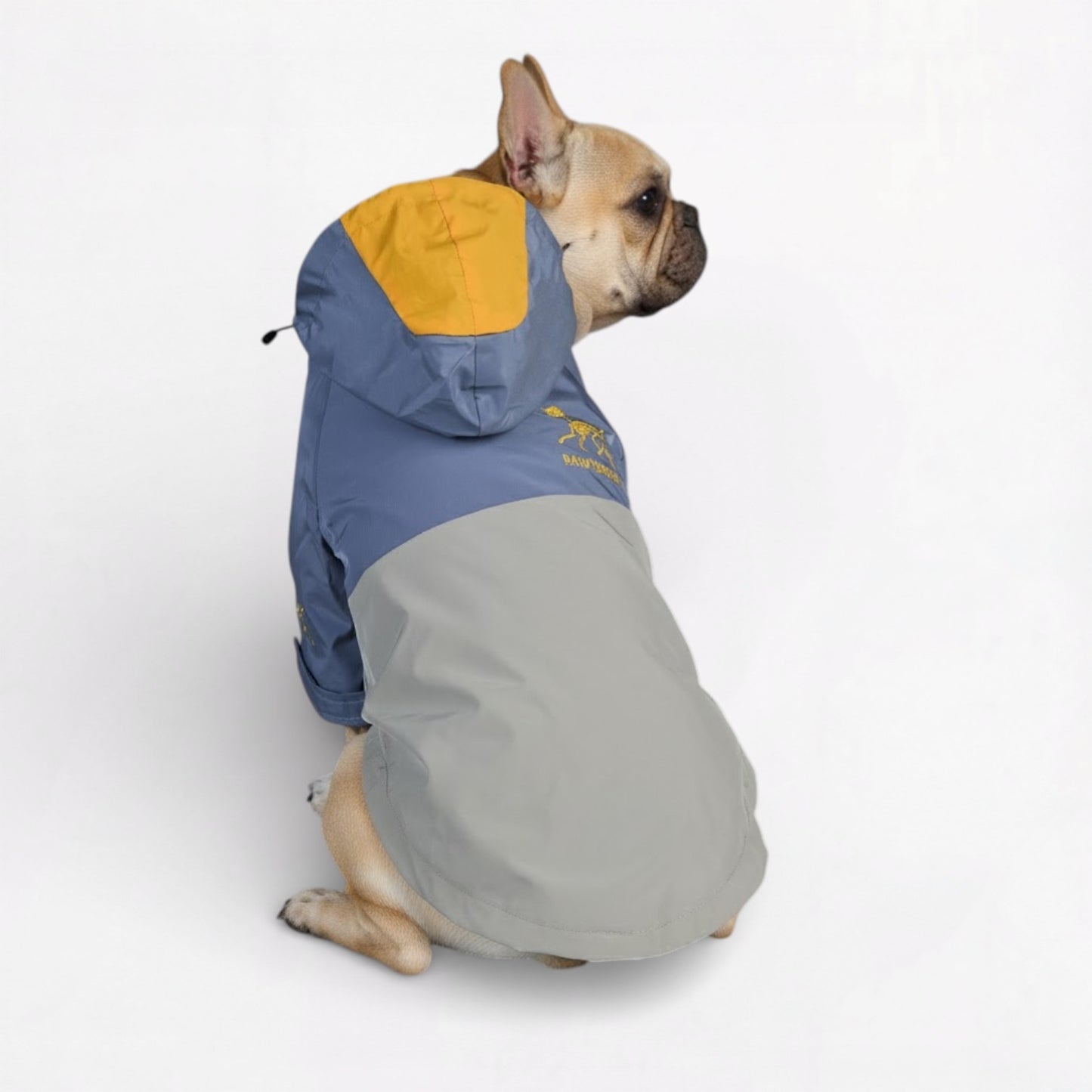 StormPaw-Frenchie-Windproof-Raincoat.jpg