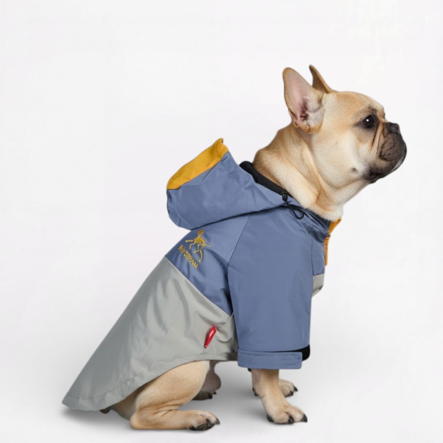 StormPaw-Frenchie-Windproof-Raincoat.jpg