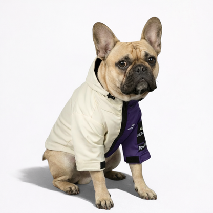 StormPaw-Frenchie-Windproof-Raincoat.jpg