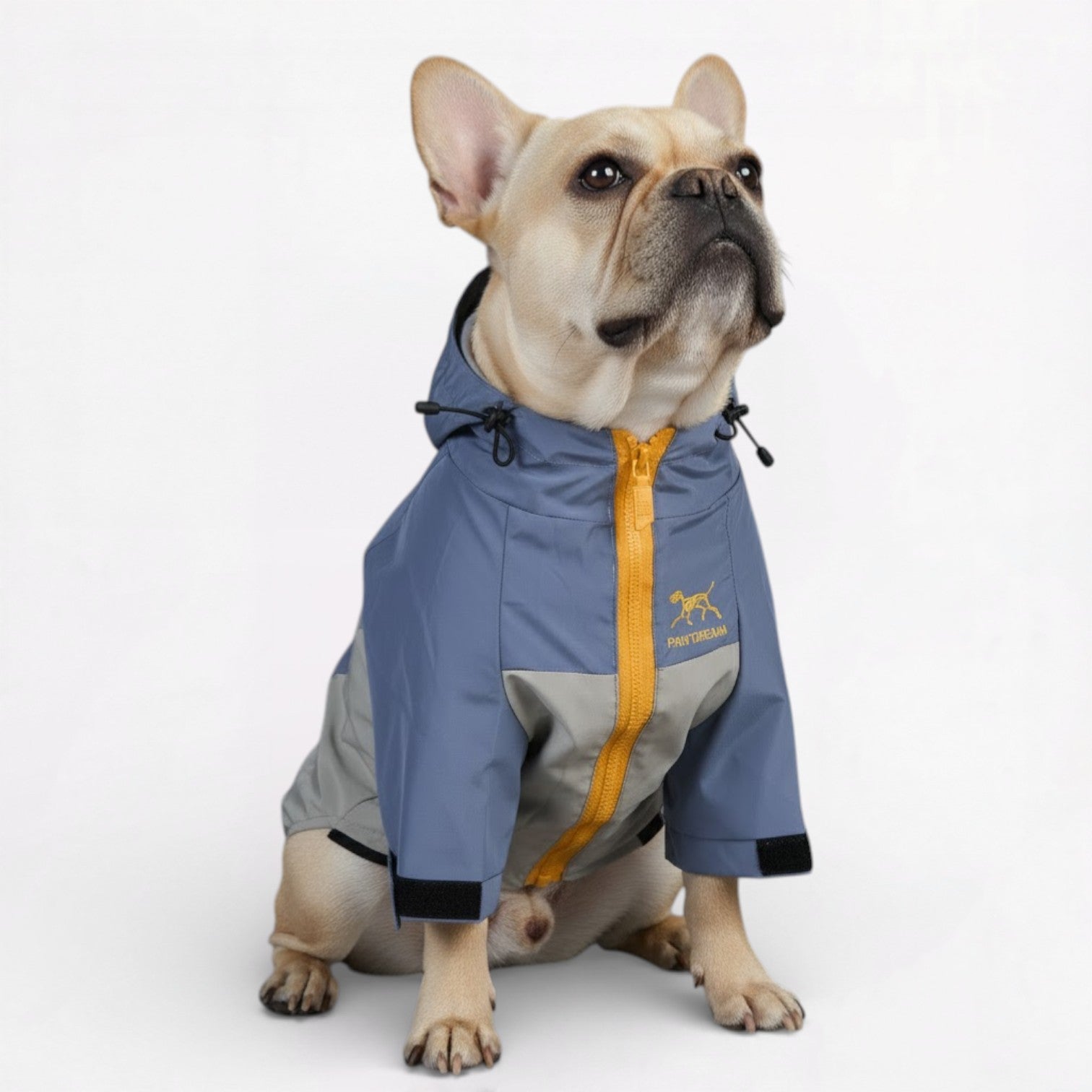 StormPaw-Frenchie-Windproof-Raincoat.jpg