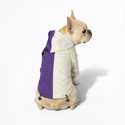 StormPaw-Frenchie-Windproof-Raincoat.jpg