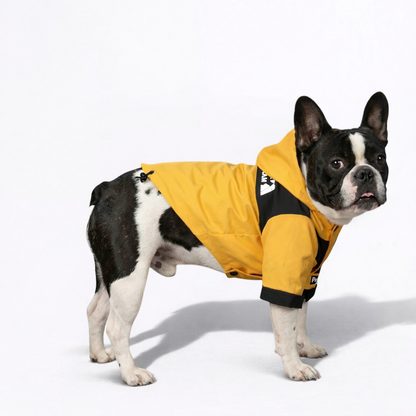 StormPaw-Frenchie-Windproof-Raincoat.jpg
