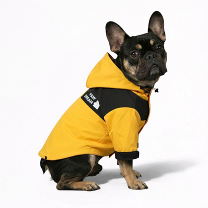 StormPaw-Frenchie-Windproof-Raincoat.jpg