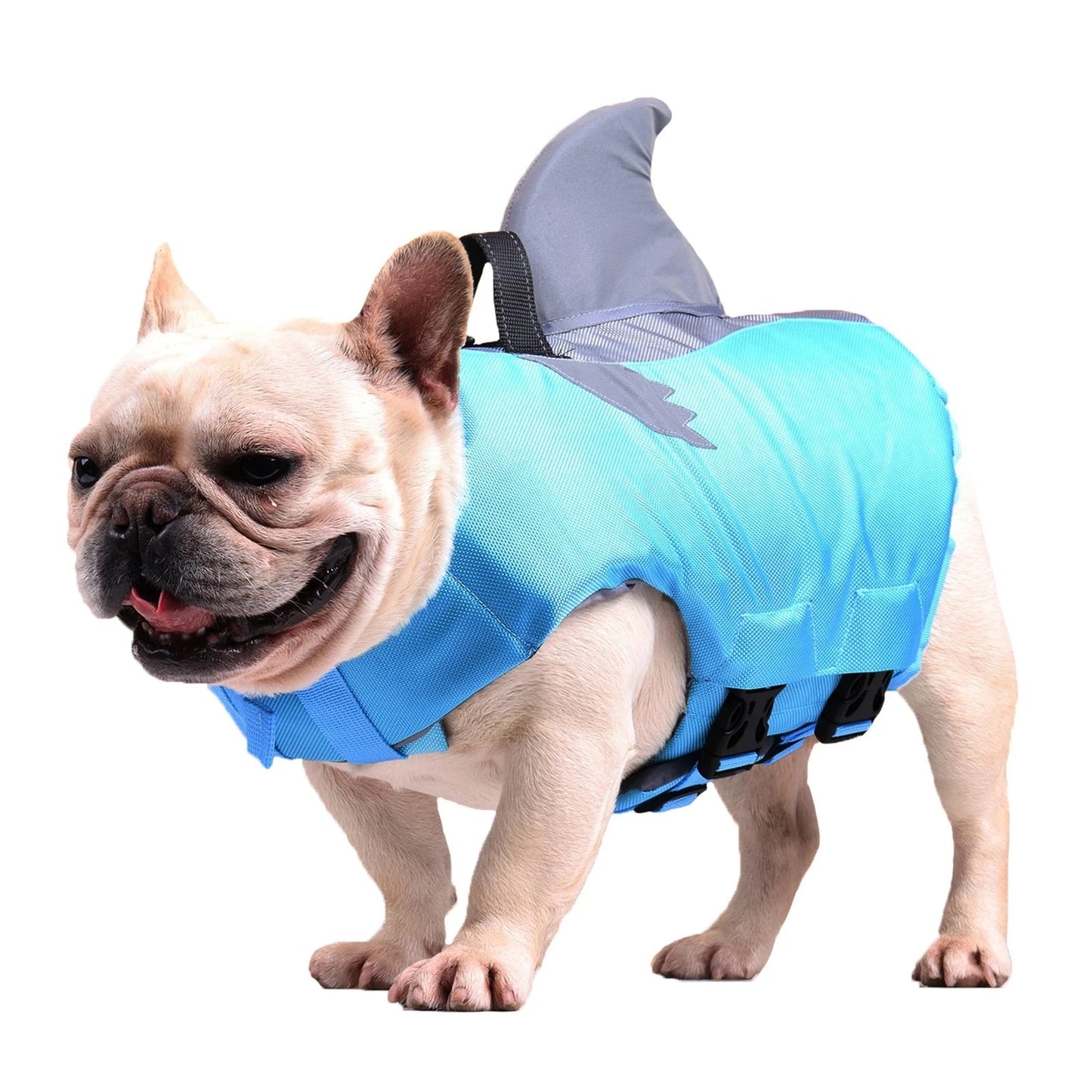 Frenchie Shark Life Vest Summer Reflective Swimwear