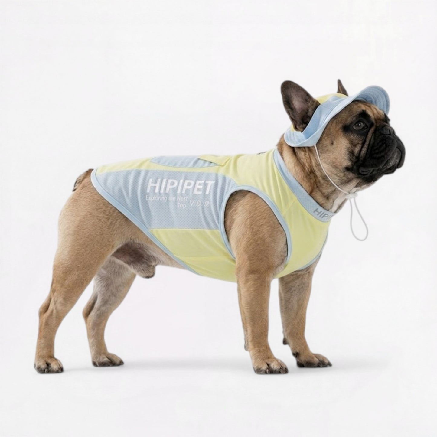 Summer-Cooling-Mesh-Vest-for-Dogs.jpg
