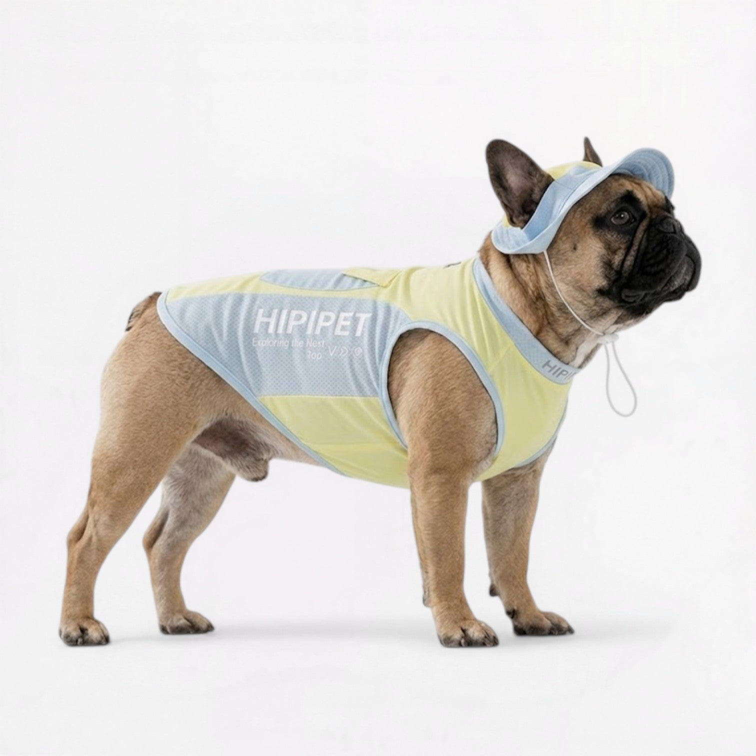 Summer-Cooling-Mesh-Vest-for-Dogs.jpg