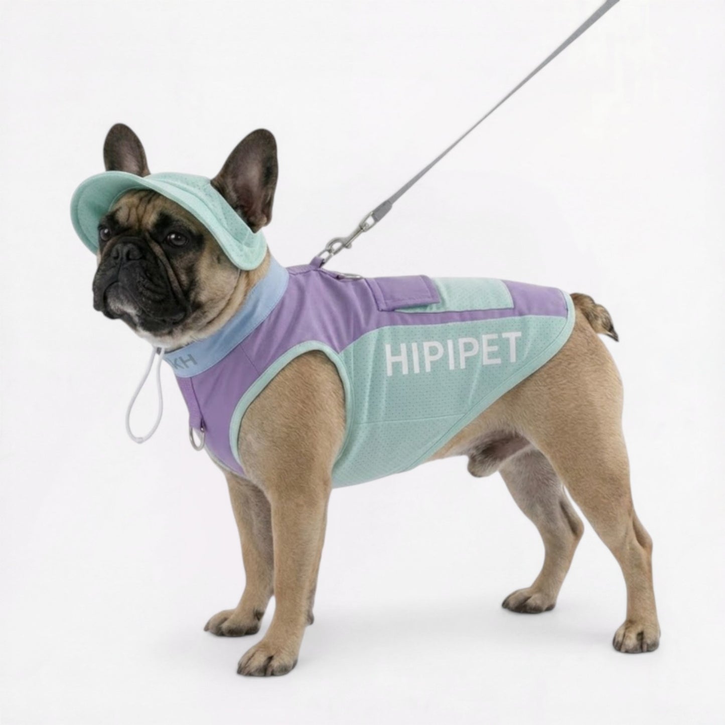 Summer-Cooling-Mesh-Vest-for-Dogs.jpg