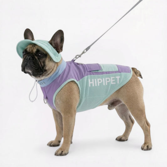 Summer-Cooling-Mesh-Vest-for-Dogs.jpg
