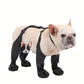 PawGuard French Bulldog Footwear Soft and Stylish Paws Protector