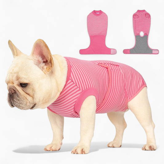Tailster-French-Bulldog-Bodysuit.jpg