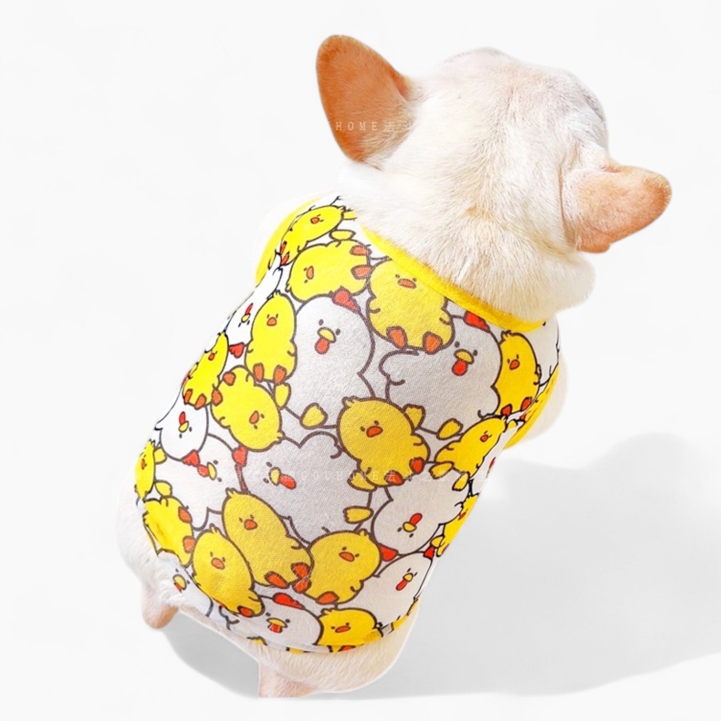 Tailtoon-Frenchie-Summer-Cartoon-Vest.jpg