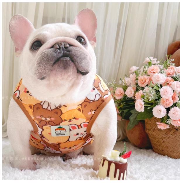 Tailtoon-Frenchie-Summer-Cartoon-Vest.jpg