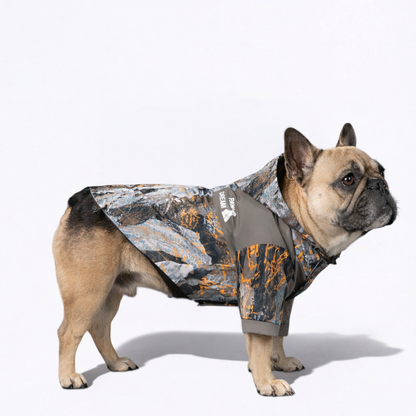 TerraPaw-French-Bulldog-Raincoat.jpg