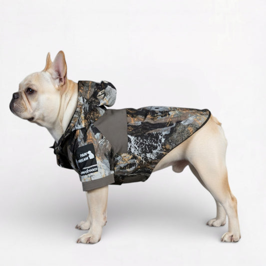 TerraPaw-Frenchie-Camouflage-Raincoat.jpg