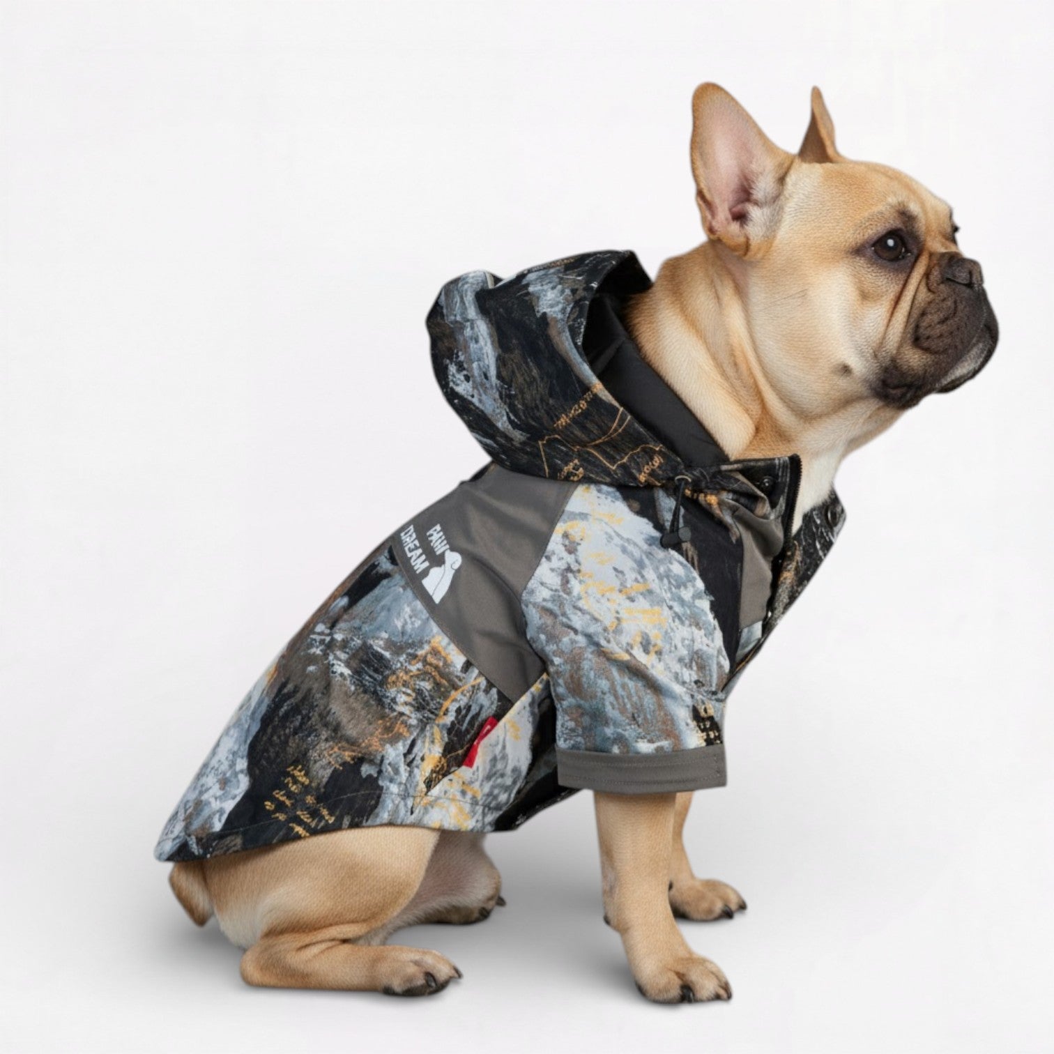 TerraPaw-Frenchie-Camouflage-Raincoat.jpg