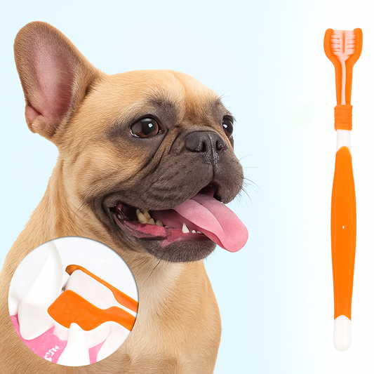 Tribrush-French-Bulldog-Toothbrush.jpg