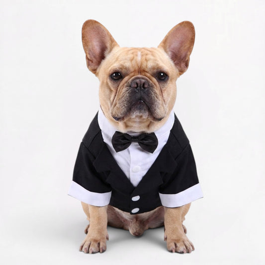 TuxPaw-Frenchie-Wedding-Tuxedo-Suit.jpg