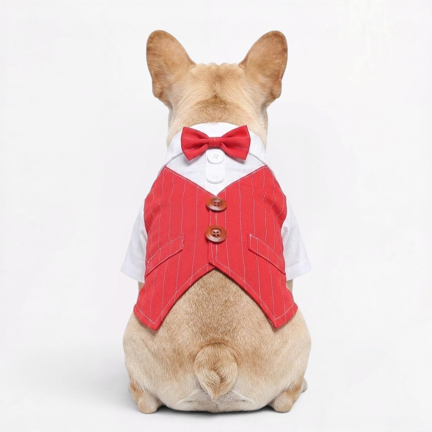 TuxPaw-Frenchie-Wedding-Tuxedo-Suit.jpg