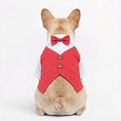 TuxPaw-Frenchie-Wedding-Tuxedo-Suit.jpg