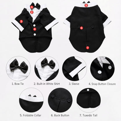 TuxPaw-Frenchie-Wedding-Tuxedo-Suit.jpg