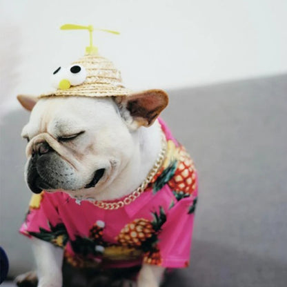 TwirlCap-Frenchie-Spinning-Straw-Hat.jpg