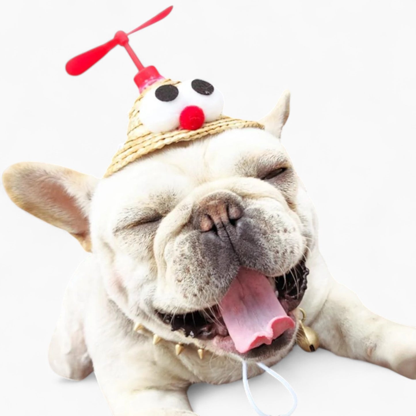 TwirlCap-Frenchie-Spinning-Straw-Hat.jpg