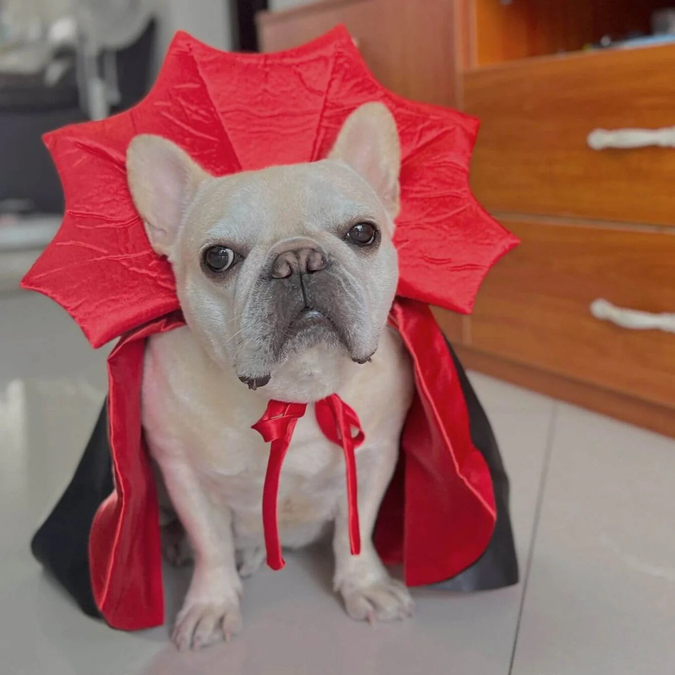 VamPuff Frenchies Vampire Cloak Costume