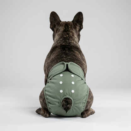 Veloura-Frenchie-Washable-Diaper.jpg