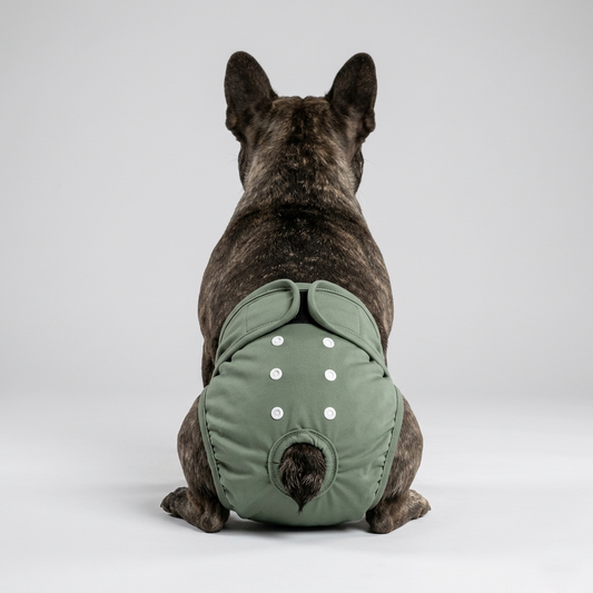 Veloura-Frenchie-Washable-Diaper.jpg