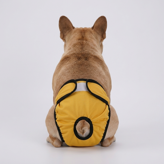 Velvro_Frenchie_Washable_Diaper.jpg