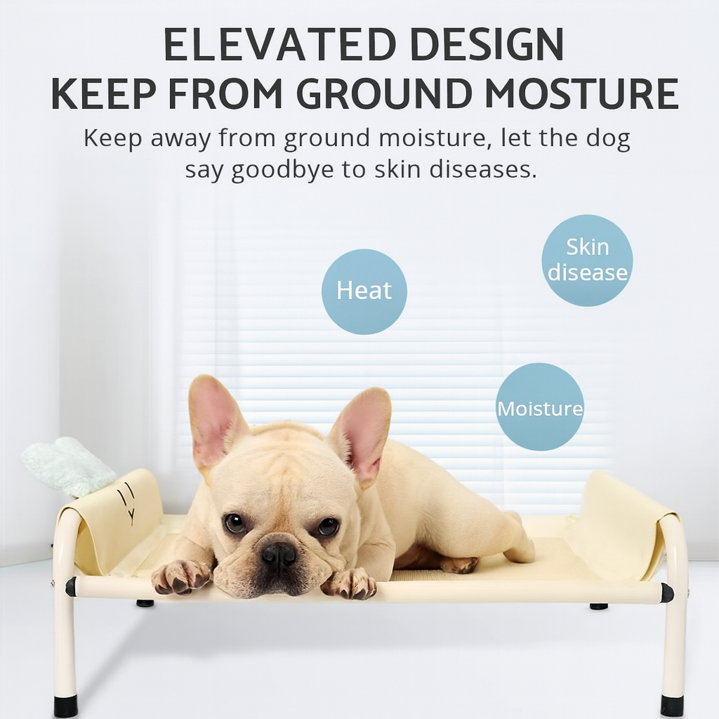 VenTura-Frenchie-Elevated-Bed.jpg