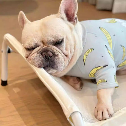 VenTura-Frenchie-Elevated-Bed.jpg