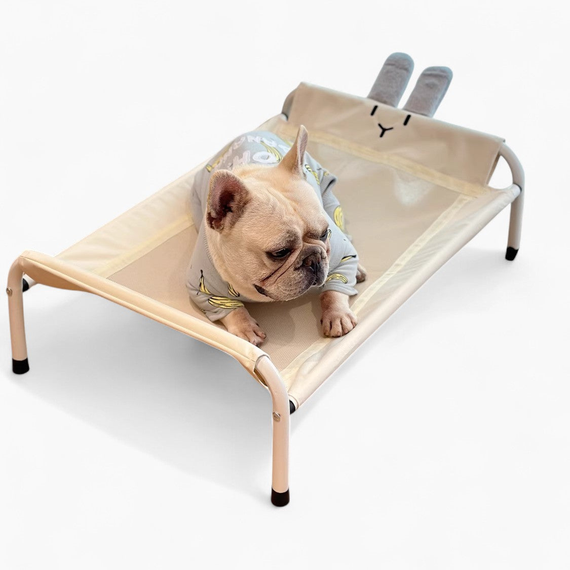 VenTura-Frenchie-Elevated-Bed.jpg