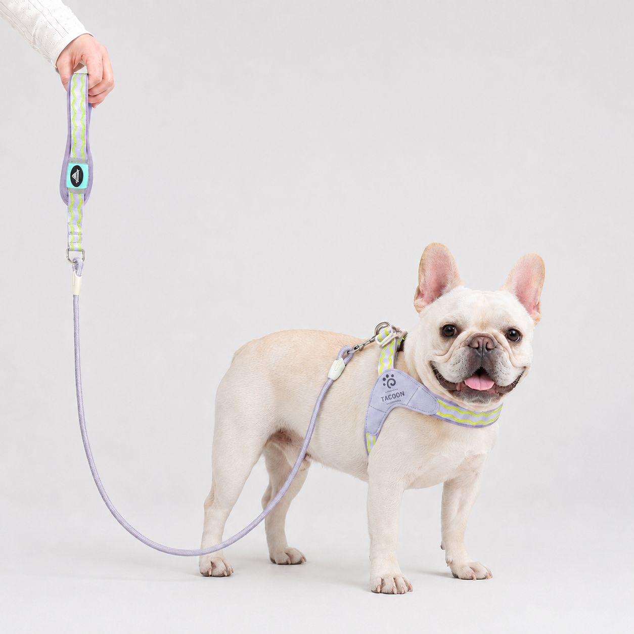 VivaPaw-Frenchie-Saddle-Harness-Leash-Set.jpg