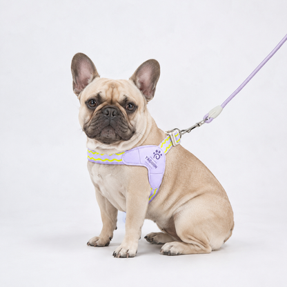 VivaPaw-Frenchie-Saddle-Harness-Leash-Set.jpg