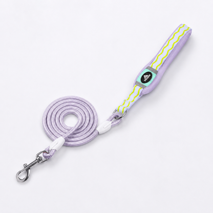 VivaPaw-Frenchie-Saddle-Harness-Leash-Set.jpg