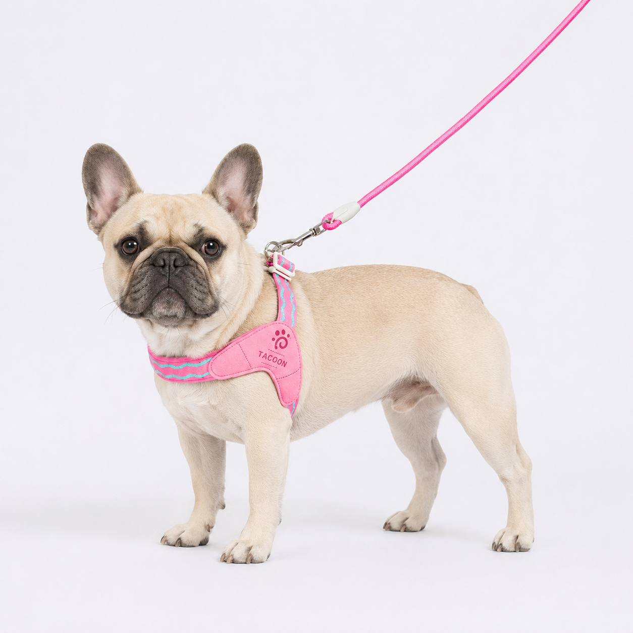 VivaPaw-Frenchie-Saddle-Harness-Leash-Set.jpg