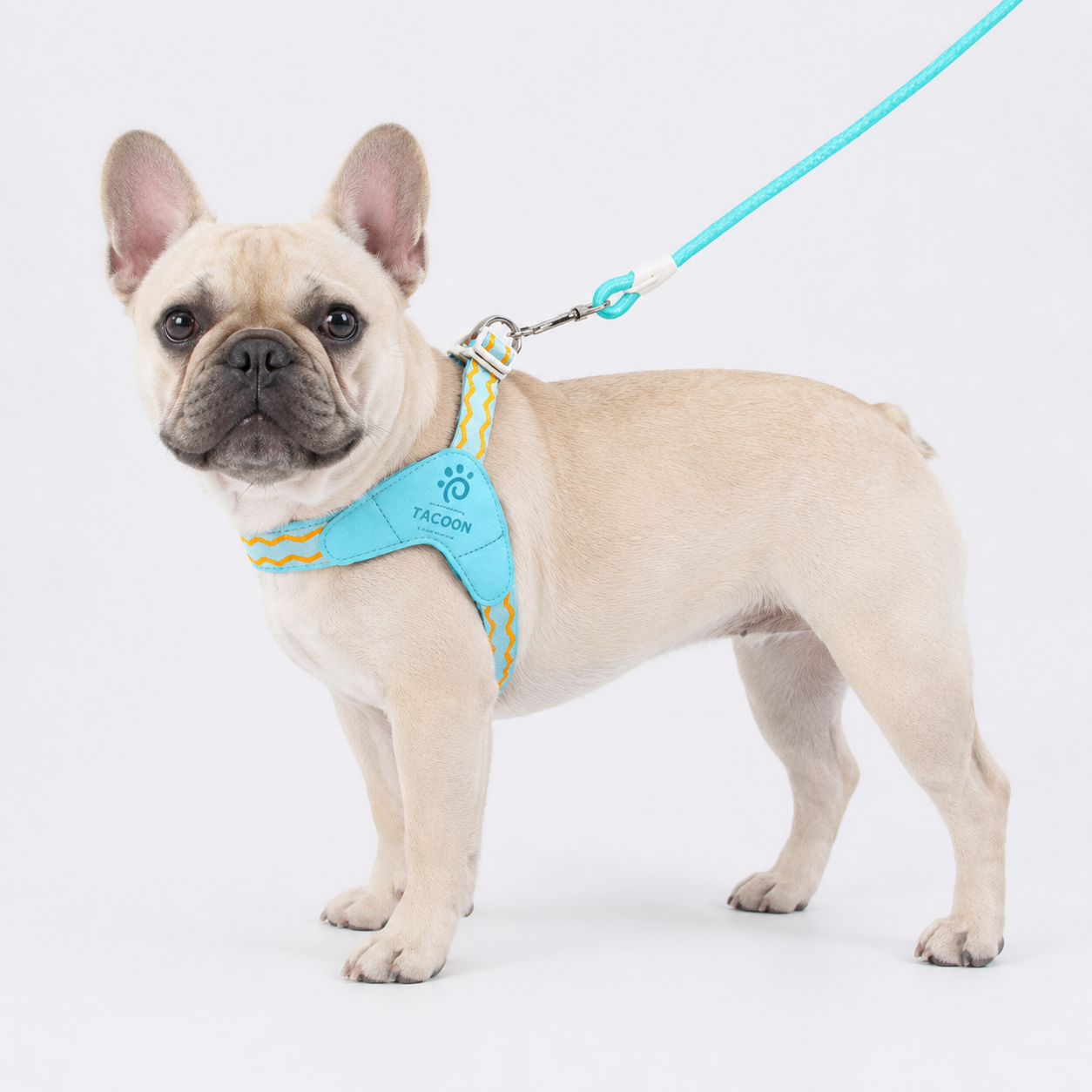 VivaPaw-Frenchie-Saddle-Harness-Leash-Set.jpg